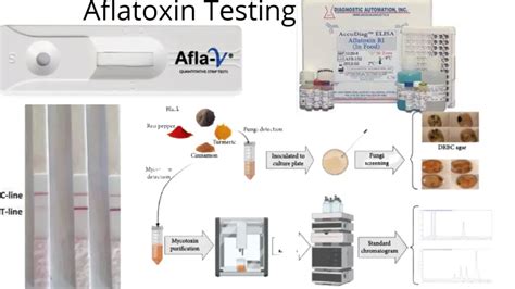 aflatoxin testing methods